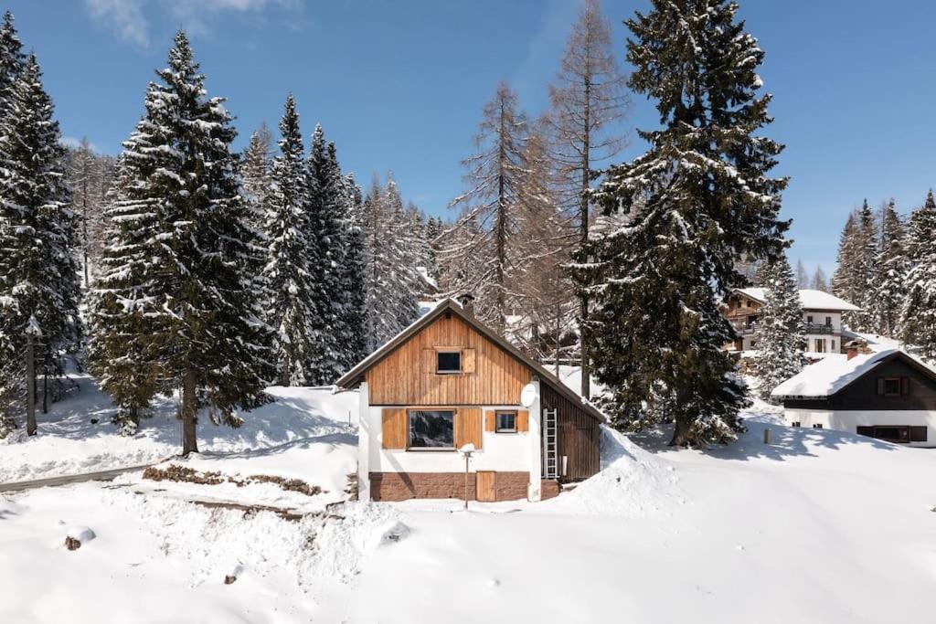 Вилла Gemuetliche Huette In Den Bergen Зонненальпе-Насфельд Экстерьер фото